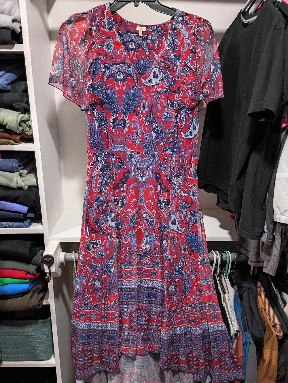 Reba Mesh Paisley V Neck Midi Dress
